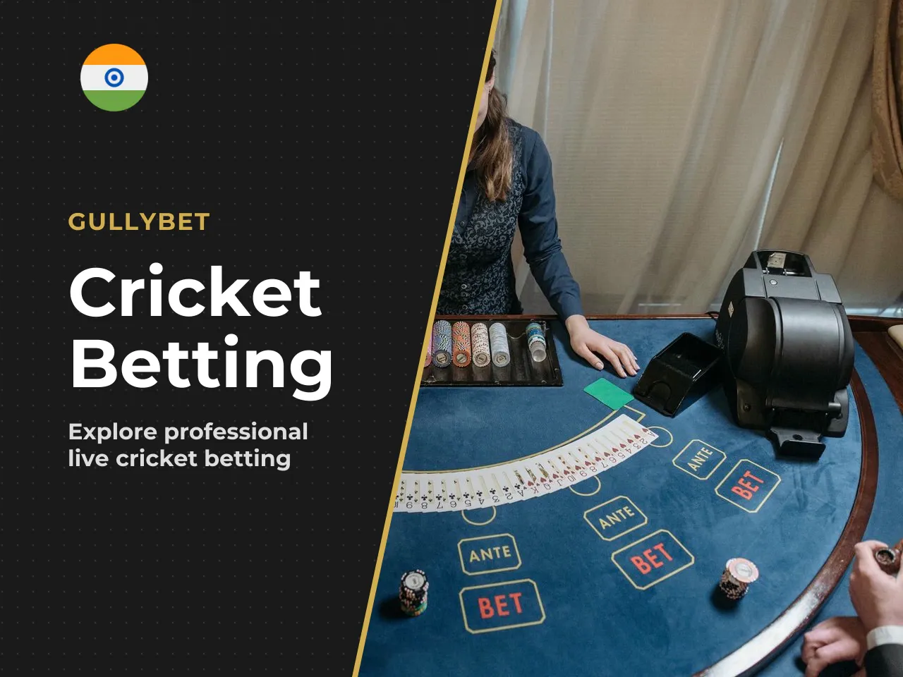 What Is Gullybet Cricket and Who