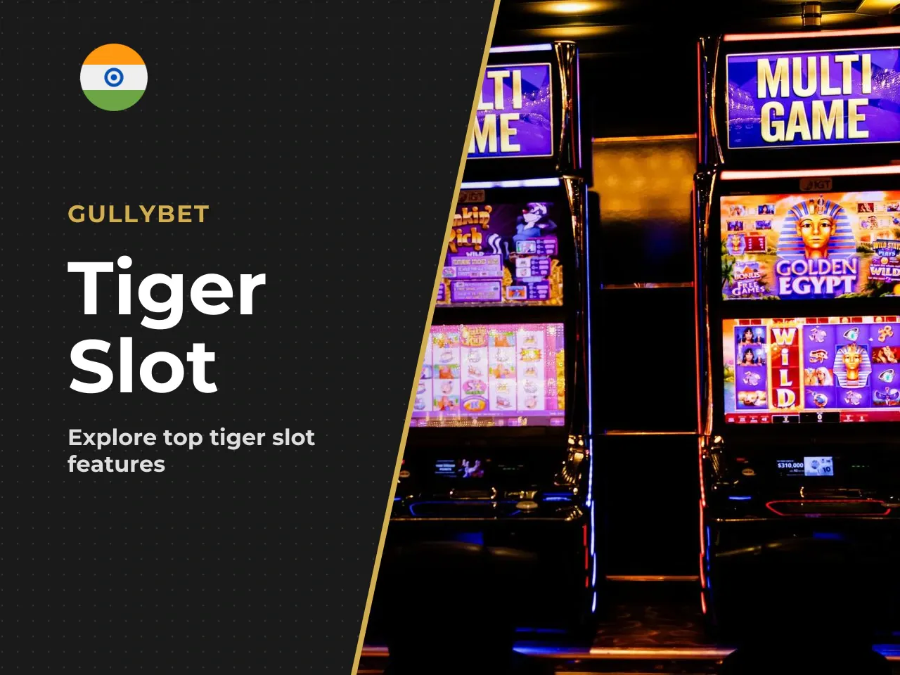 Why Players Look for Wild Tiger