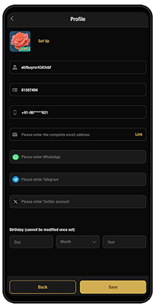 gullybet app registration