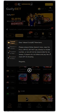 gullybet app review